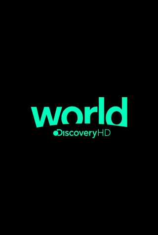 Image Discovery World 24h Online